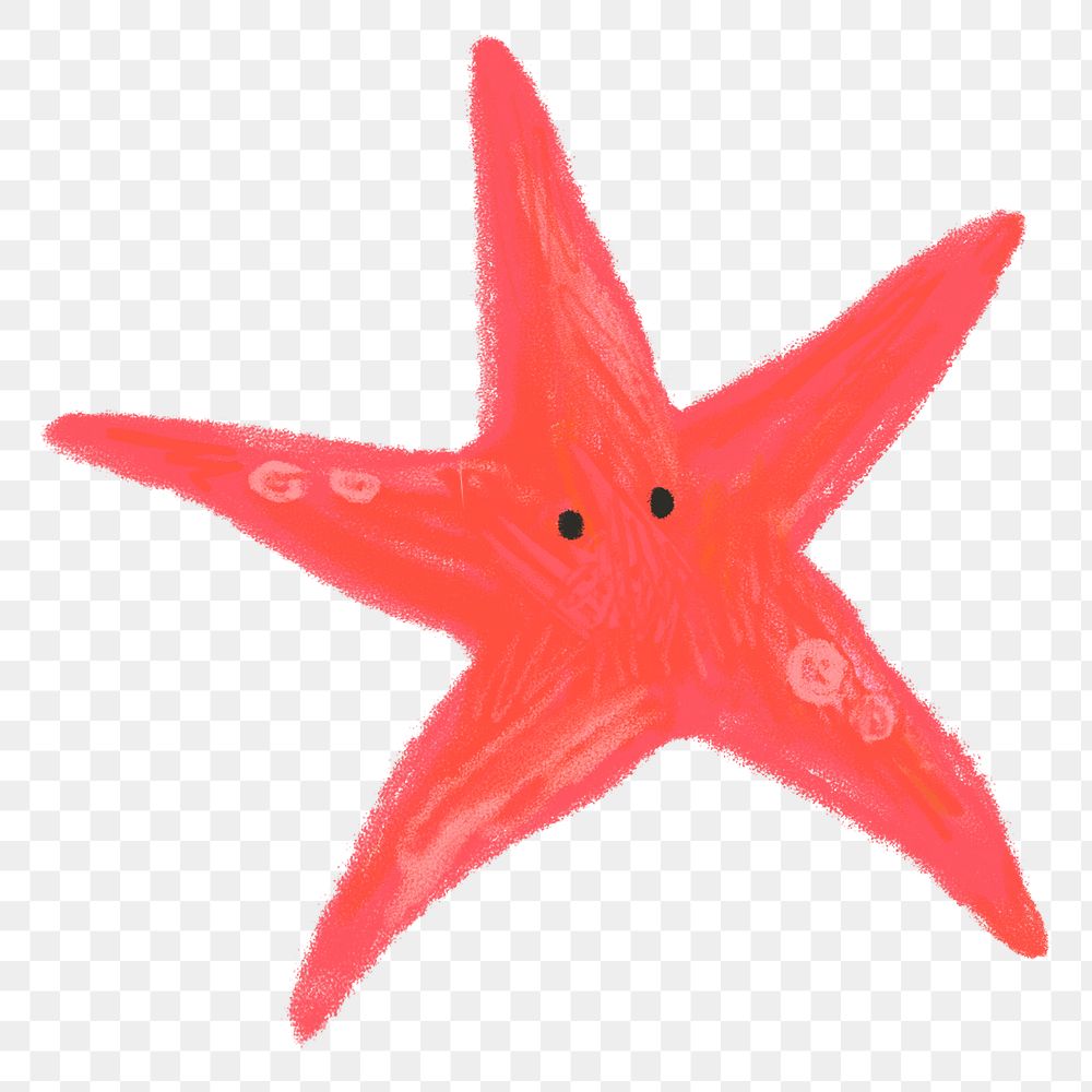 Starfish doodle png sticker, transparent background