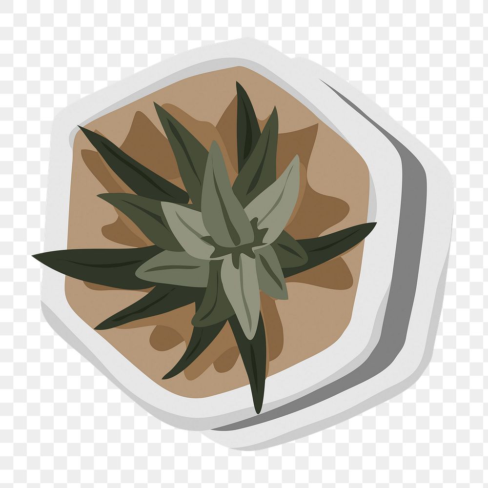 Cactus plant sticker, houseplant illustration on transparent background