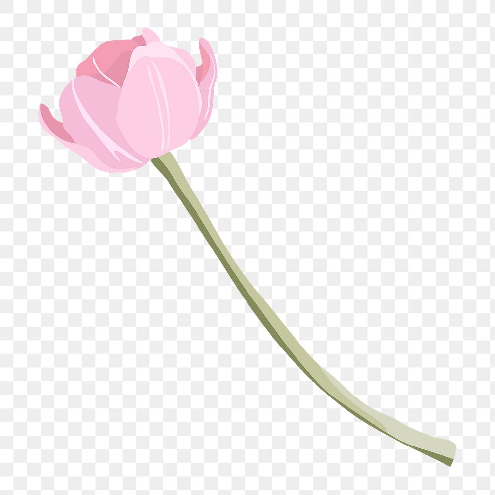 Pink tulip png, flower clipart design