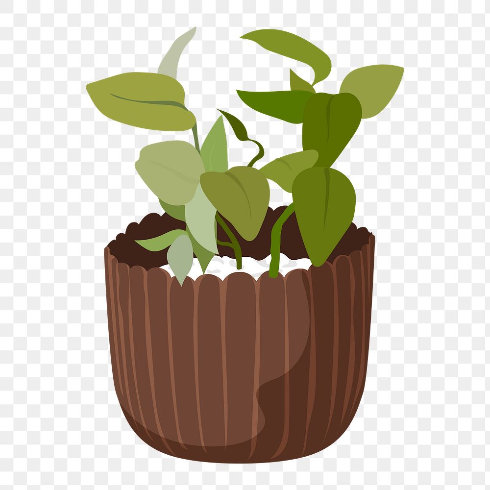 Houseplant png sticker, nature illustration design