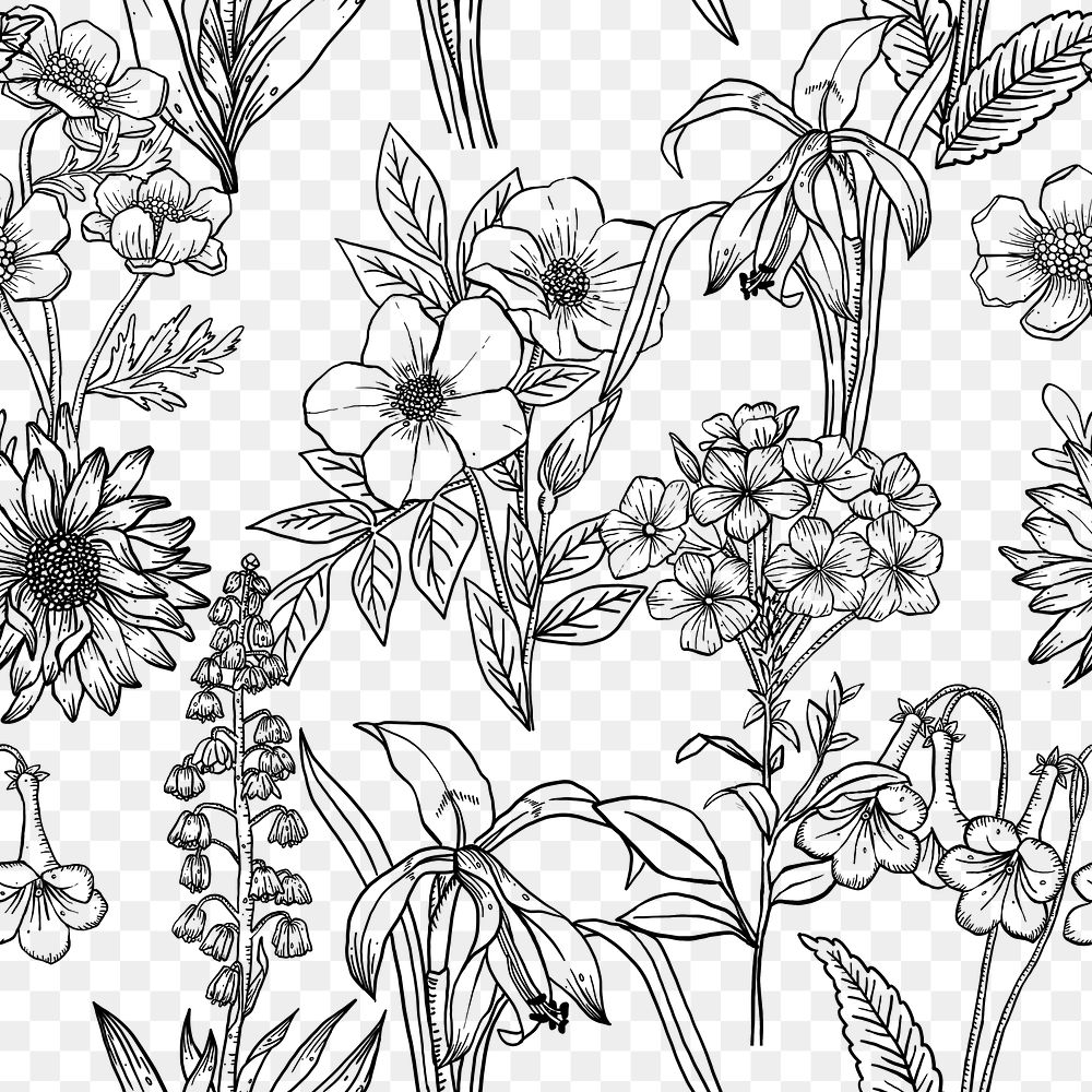 Seamless flower pattern png collage element, line art design, transparent background 