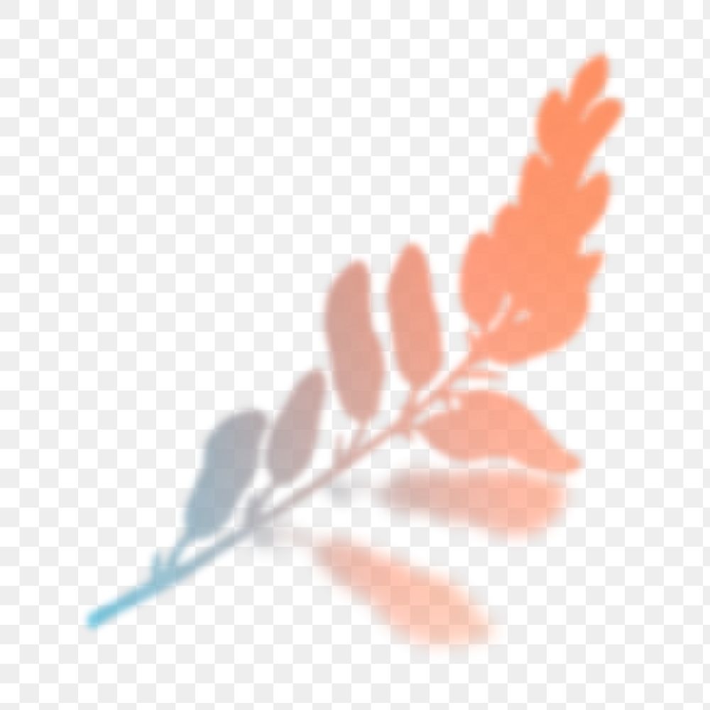 Gradient leaf png sticker, transparent background