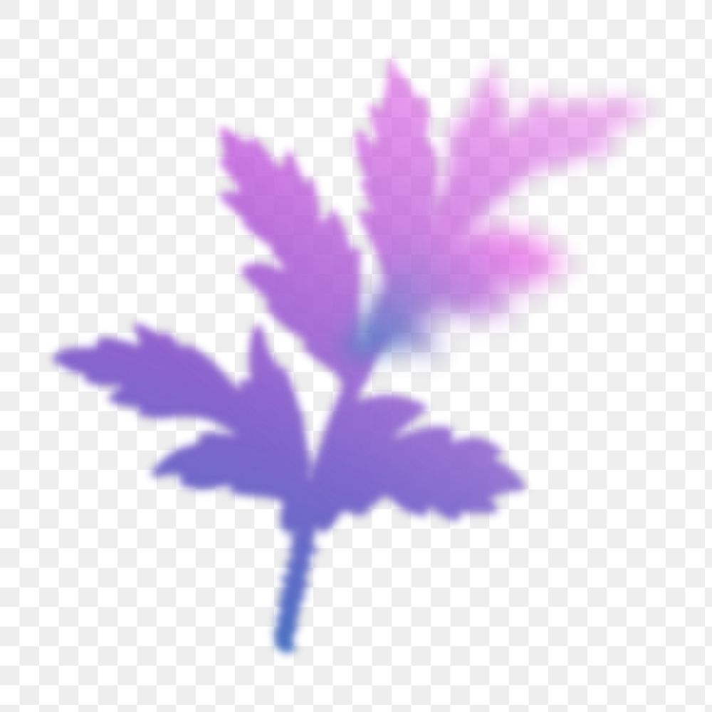 Aesthetic leaf png sticker, transparent background