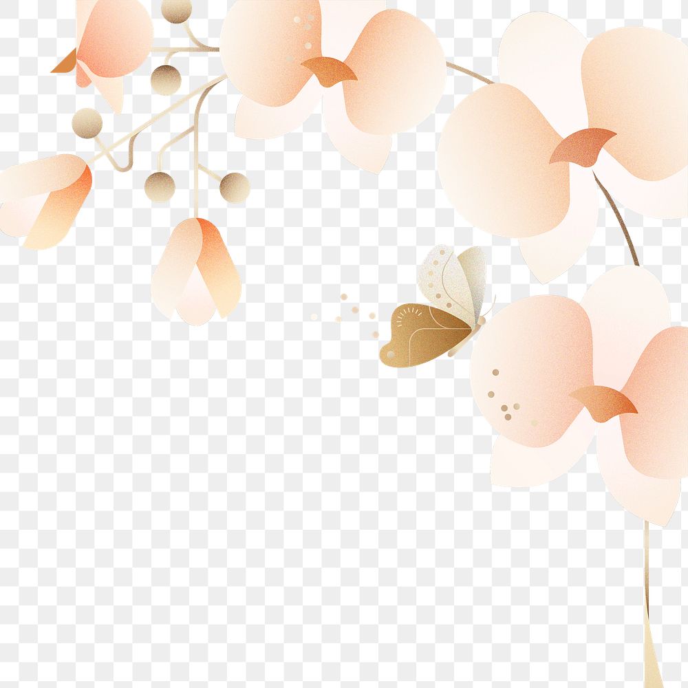 Pink orchids png, flower design border sticker, transparent background
