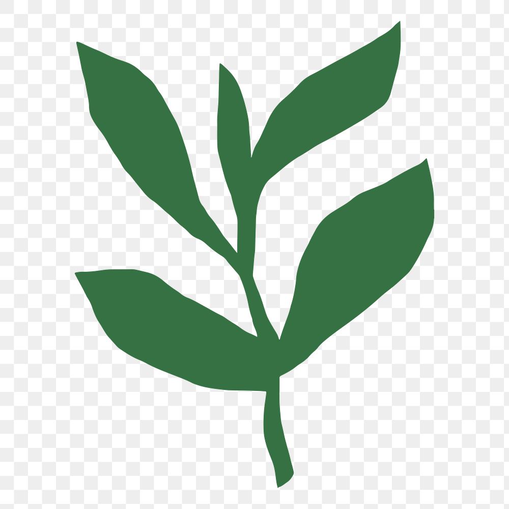 Green leaf png sticker, transparent background 