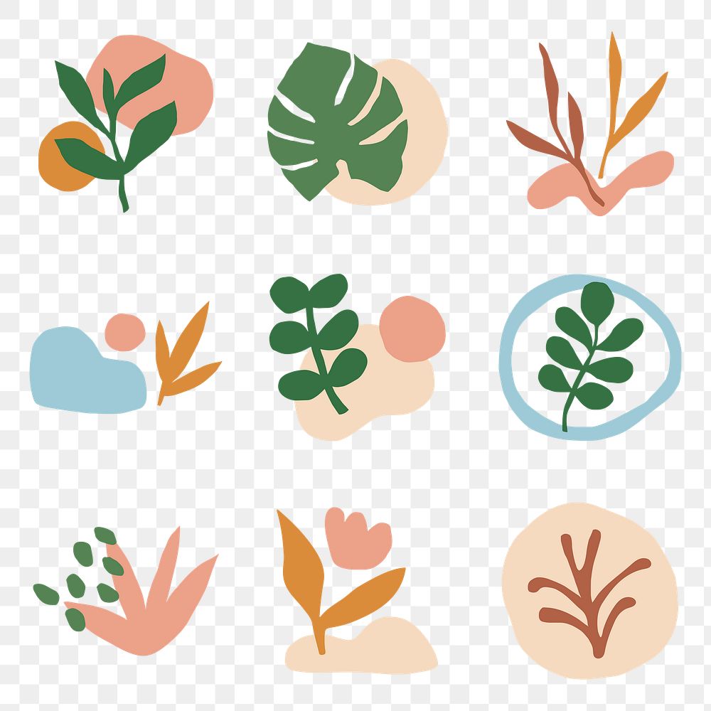 Botanical png stickers set, cute transparent background 