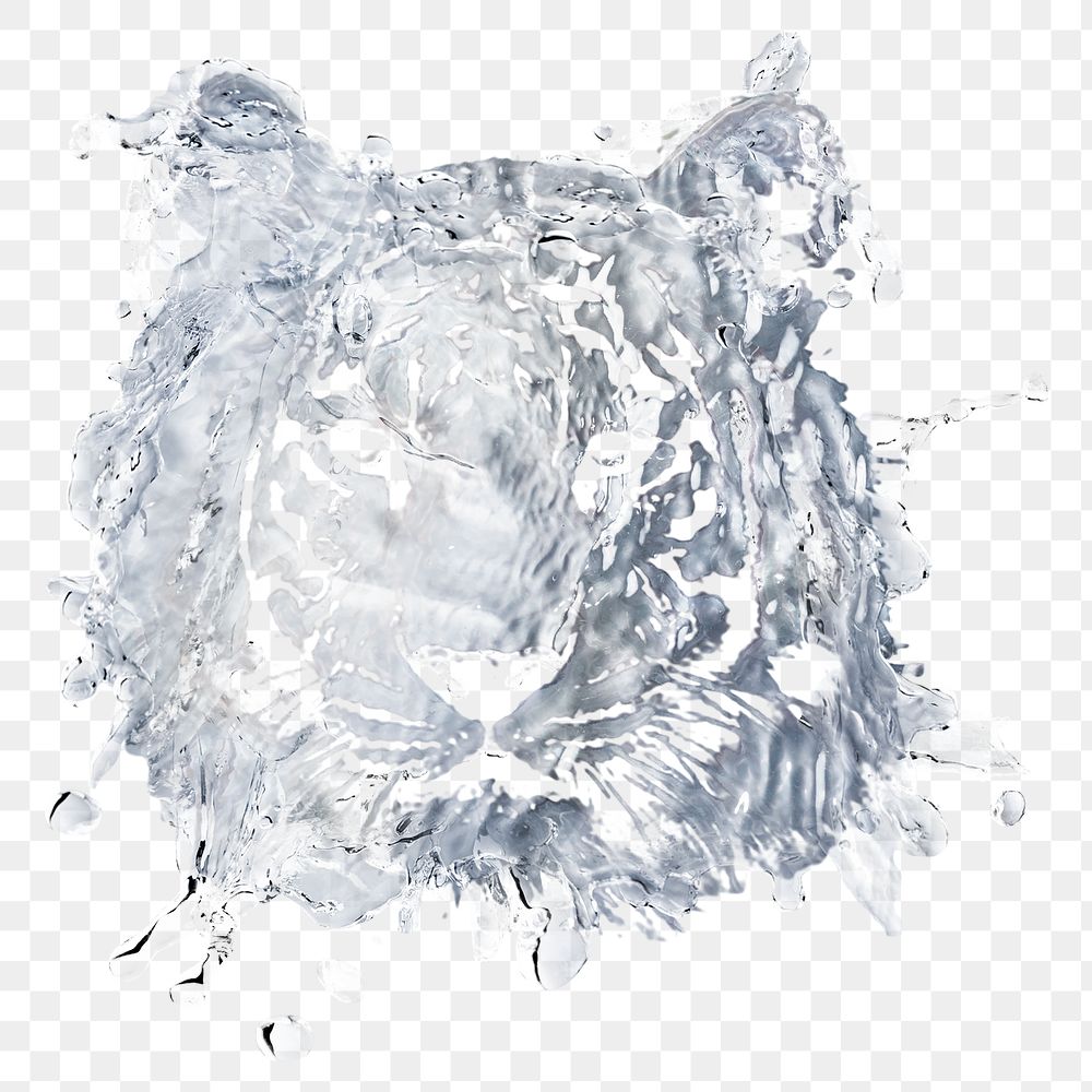 White tiger png sticker, water splash, abstract illustration on transparent background