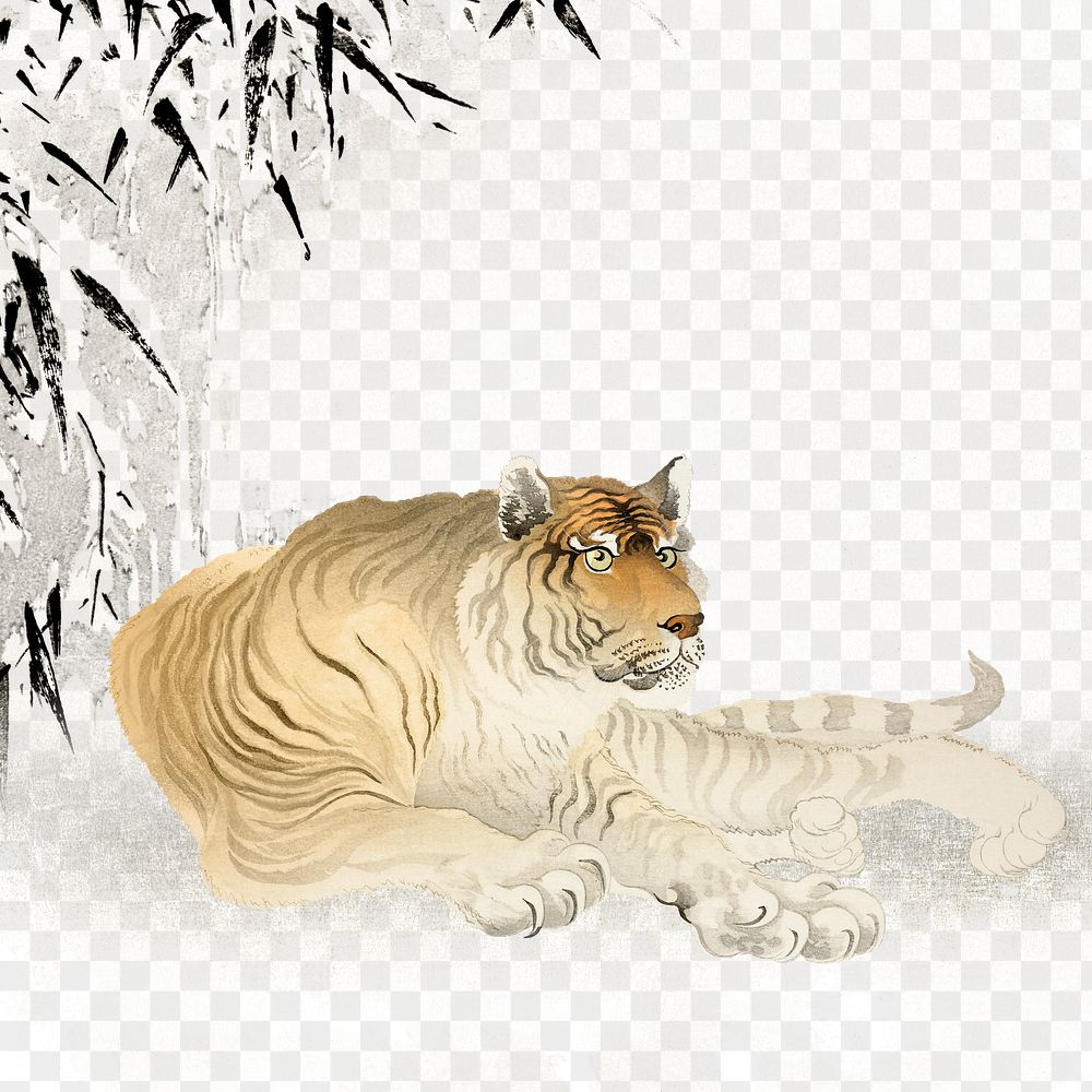 Chinese zodiac png tiger, transparent background, animal realistic illustration
