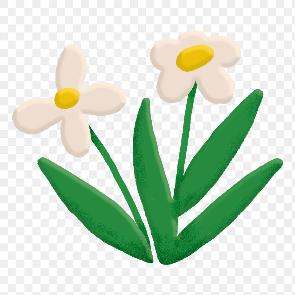 Png flowers element, emoji sticker, hand drawn, transparent background