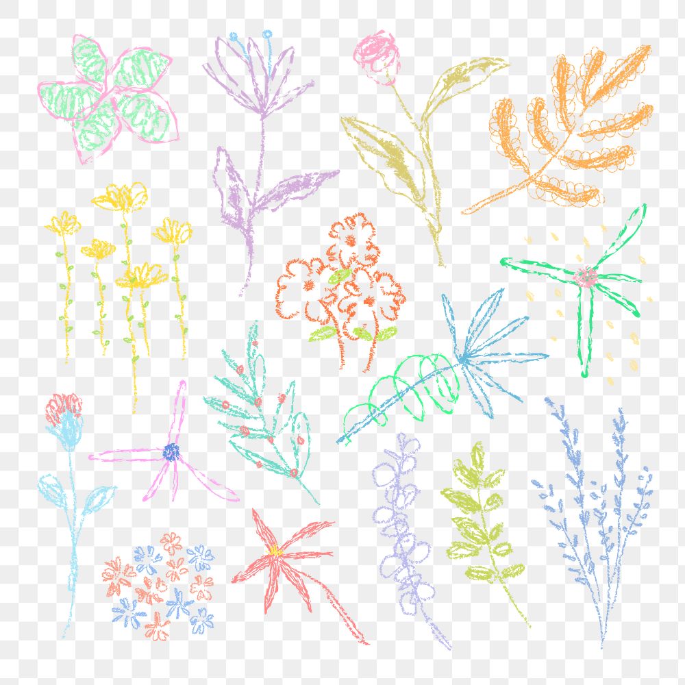 Floral line art png transparent background, pastel kids doodle design