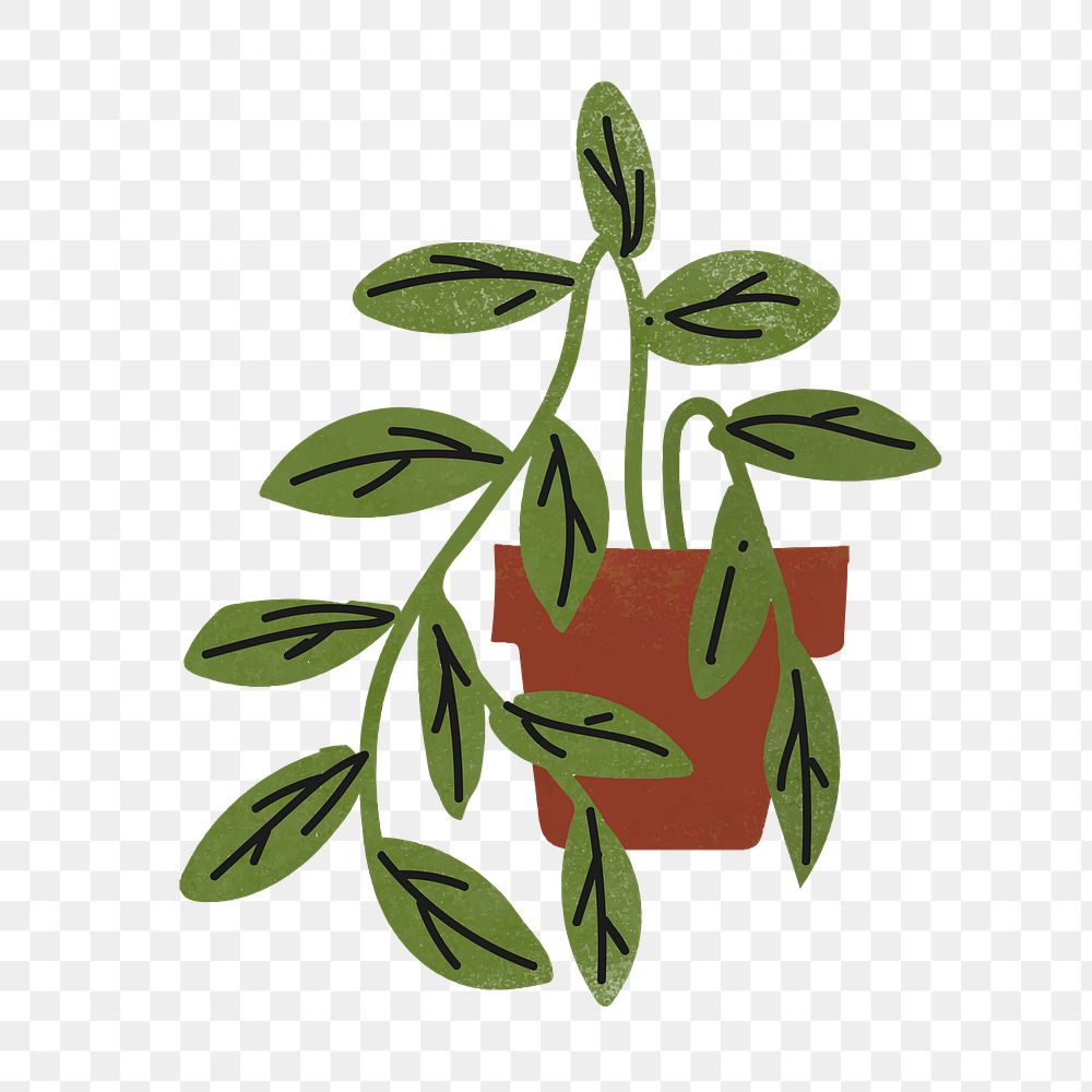 Hanging png plant sticker, home decor illustration, transparent background