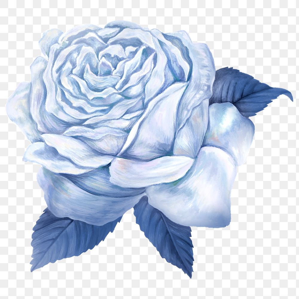 Rose png sticker, blue aesthetic design, transparent background