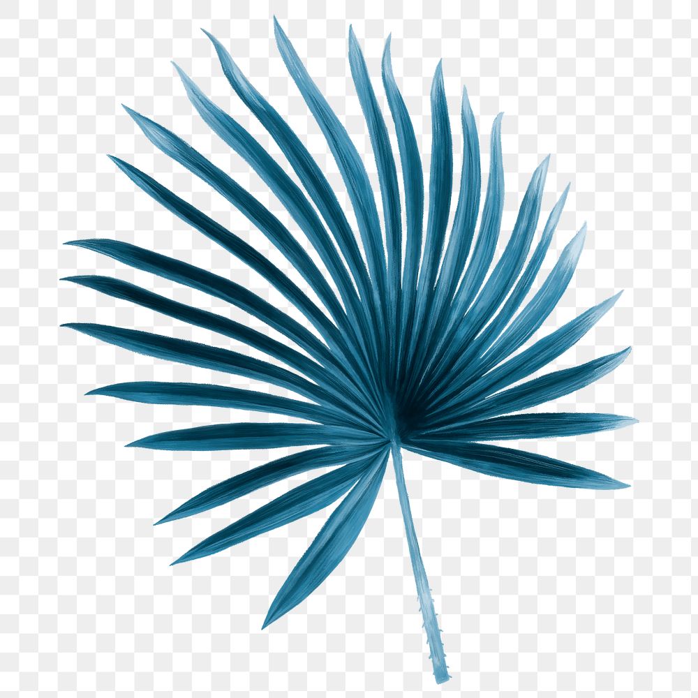 Tropical leaf png clipart, blue fan palm leaf, transparent background