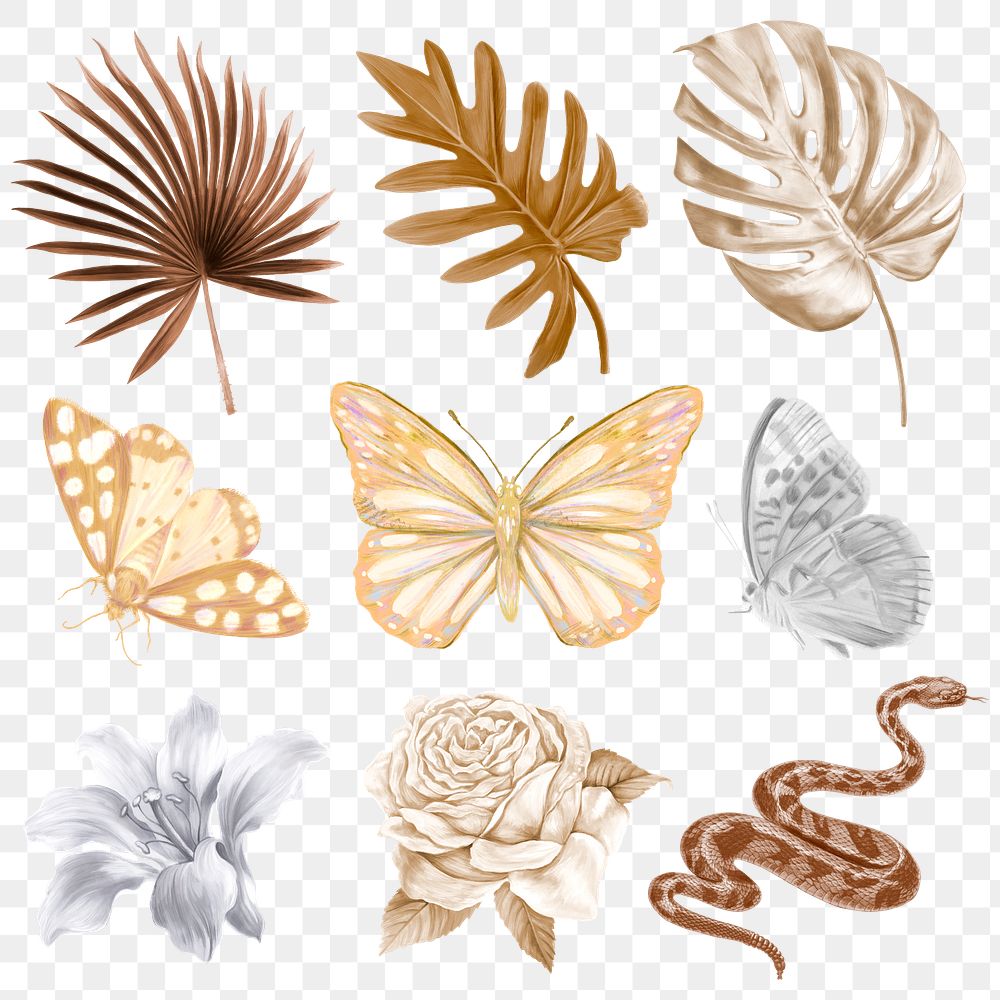 Brown aesthetic png tropical elements set, transparent background