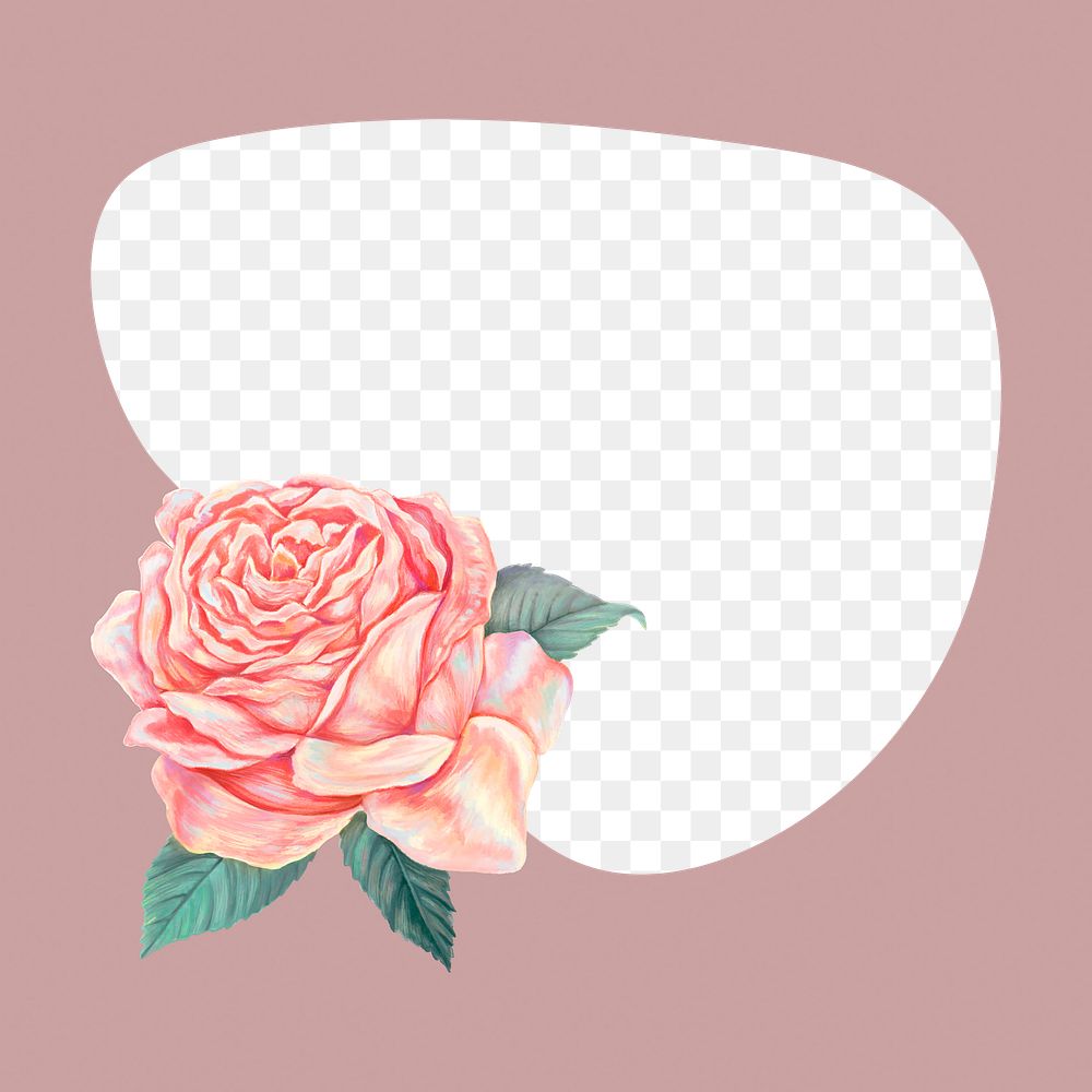 Pink png frame background, peach rose design, transparent design