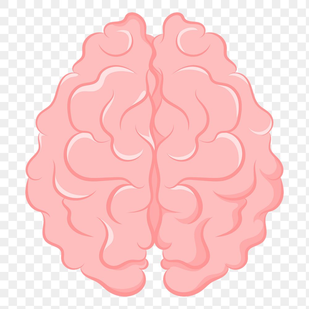 Brain png sticker, transparent background 