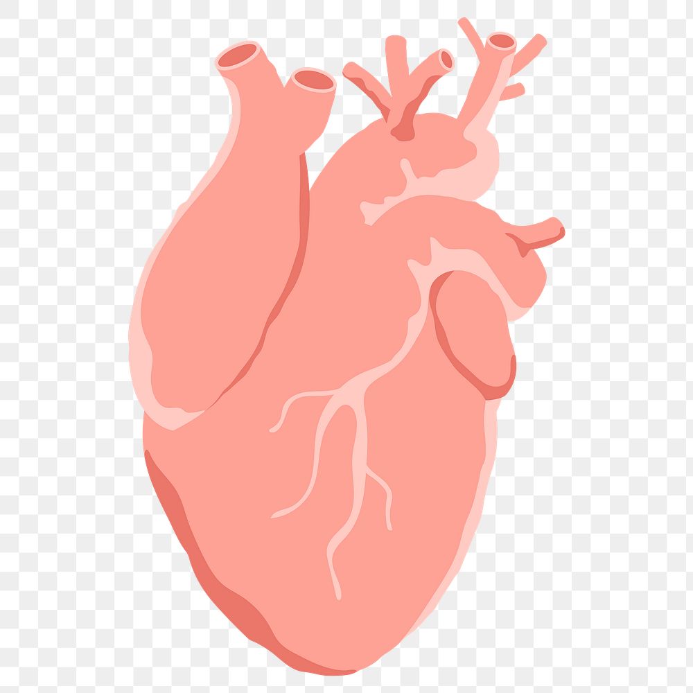 Heart png sticker, transparent background 