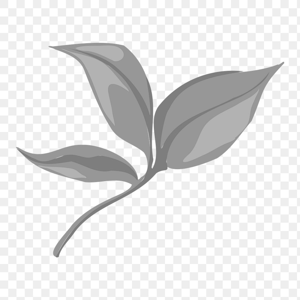 Gray leaf png clipart, transparent background 