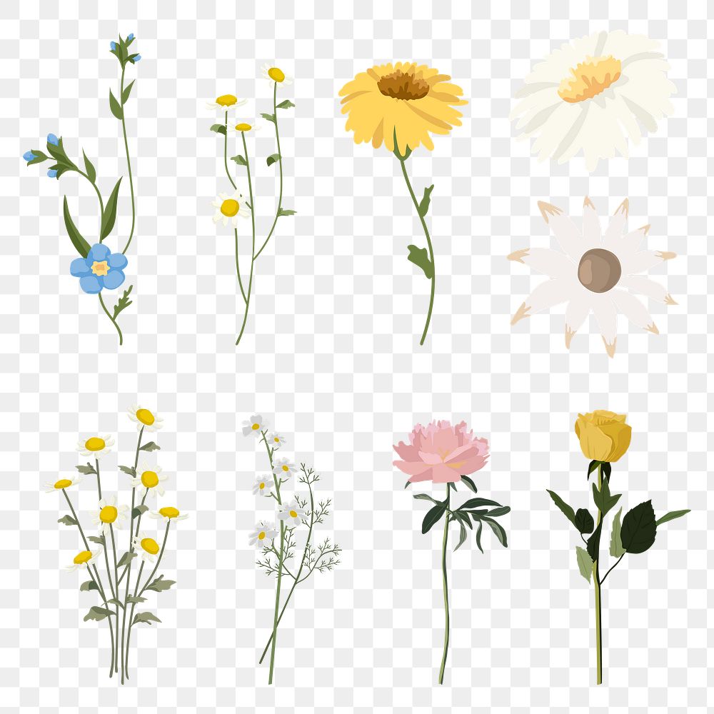 Flowers png stickers, transparent background set