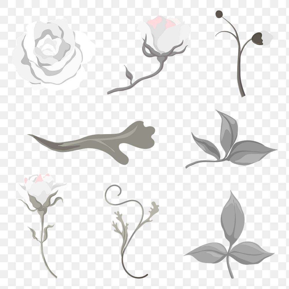 Botanical png stickers, transparent background set