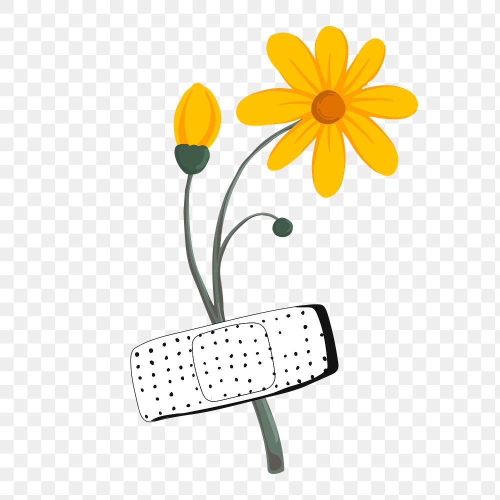 Bandage flower png sticker, transparent background