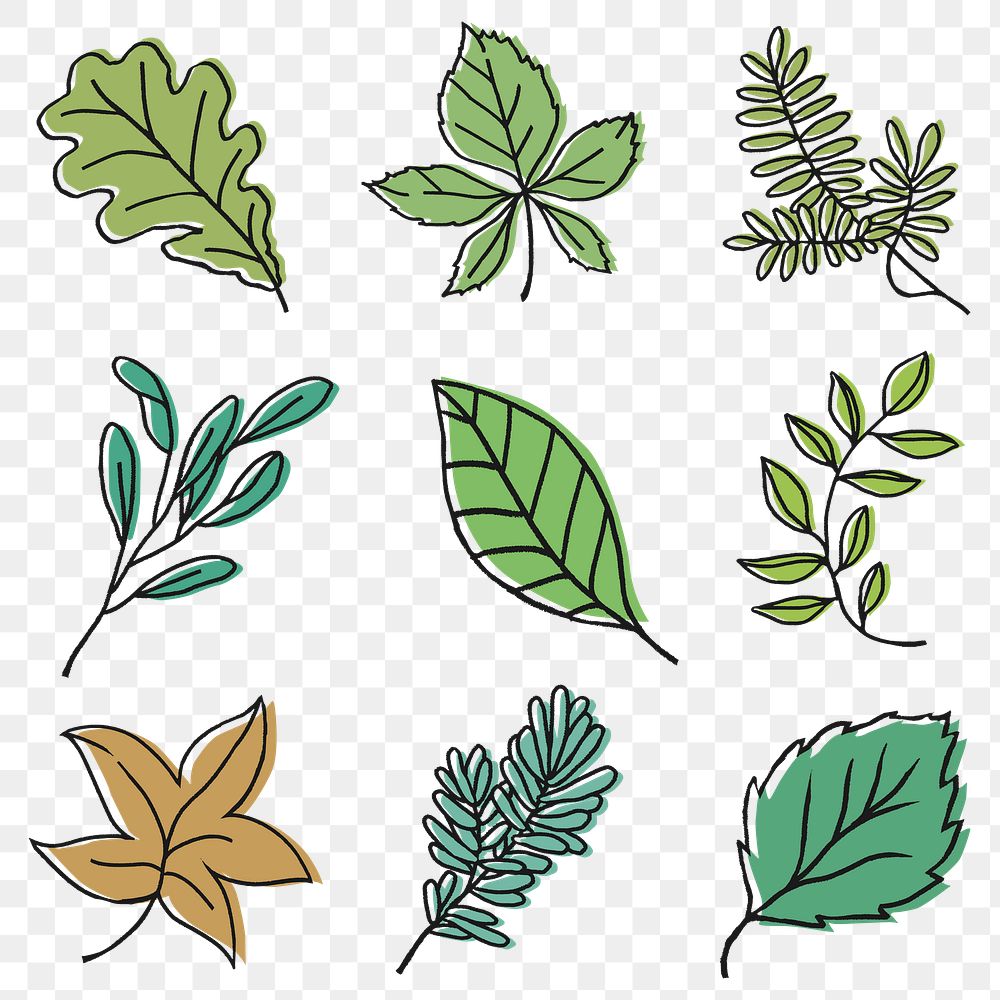 Png colorful leaf collage element collection on transparent background