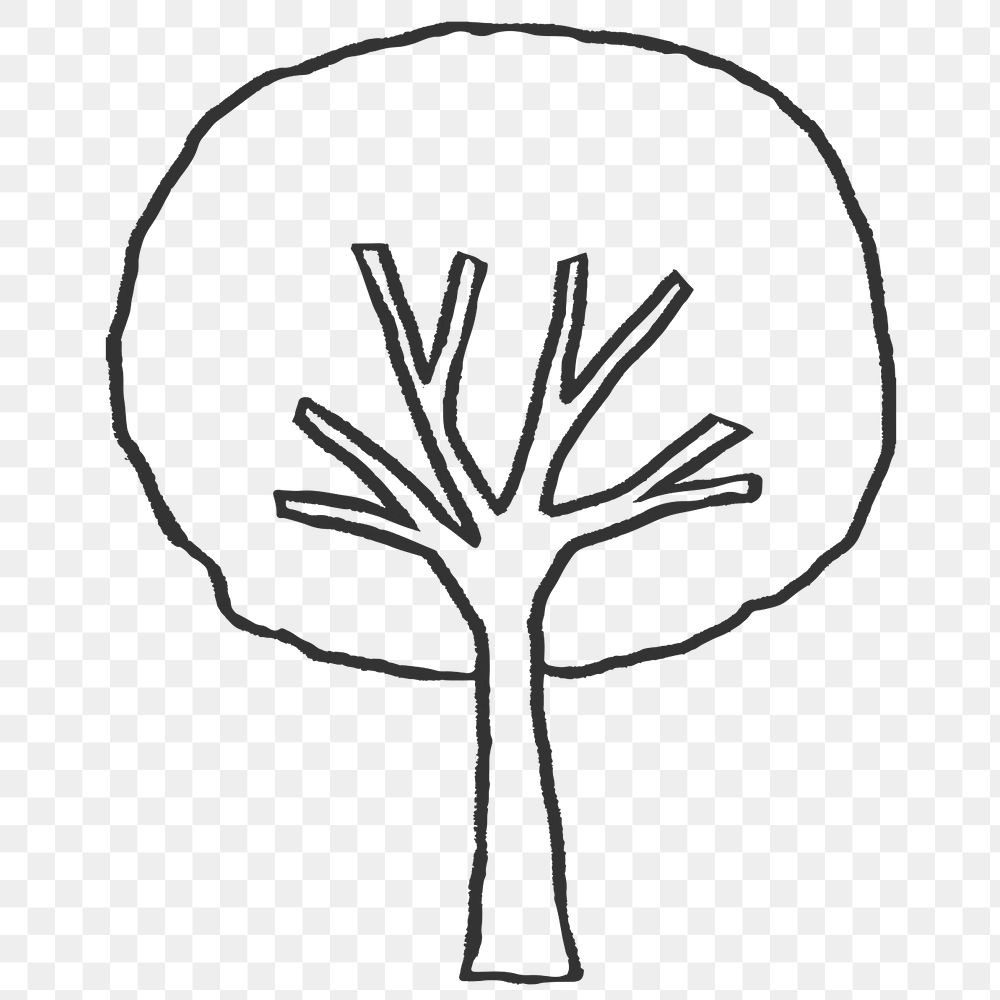 Png elm tree line art sticker, nature design on transparent background