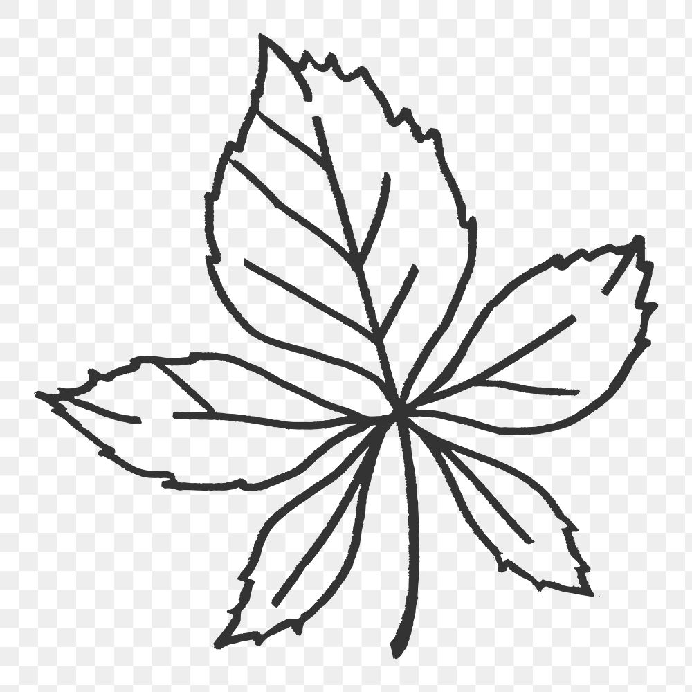 Png chestnut tree leaf sticker, nature design on transparent background