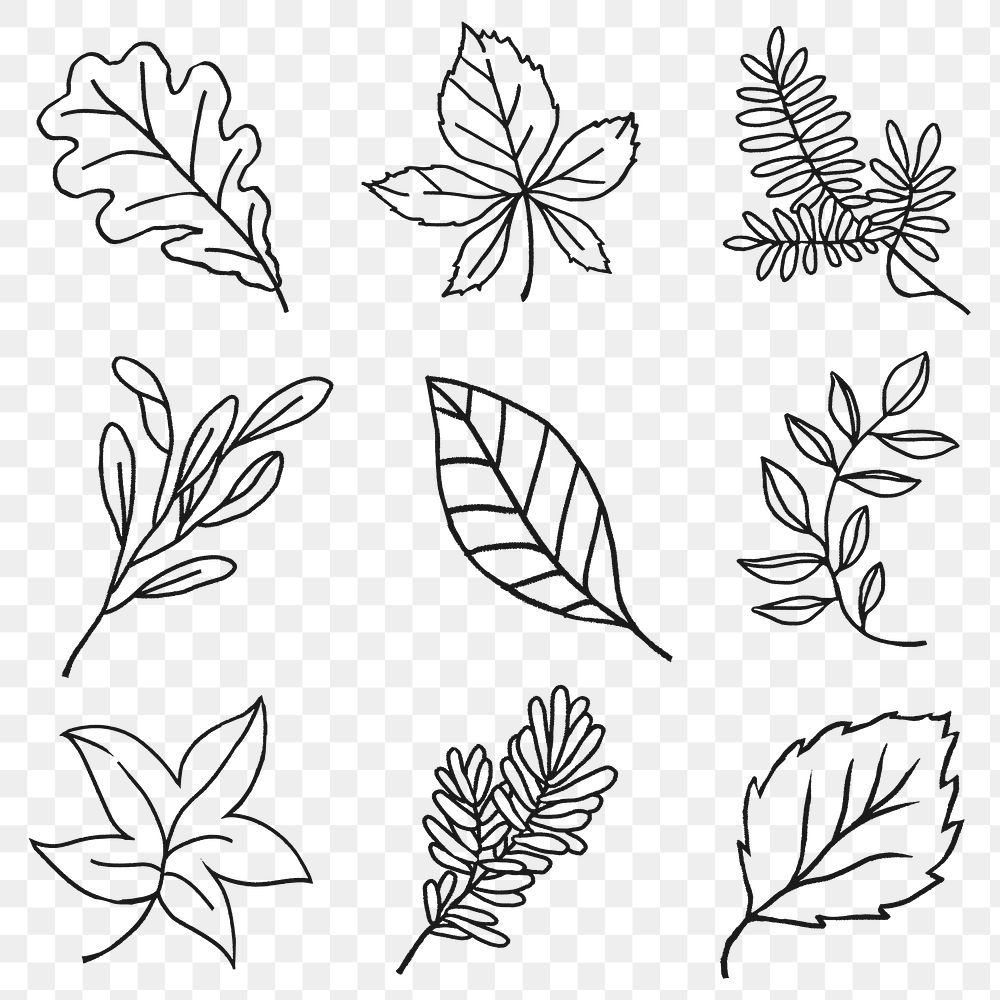 Png line art nature sticker collection on transparent background