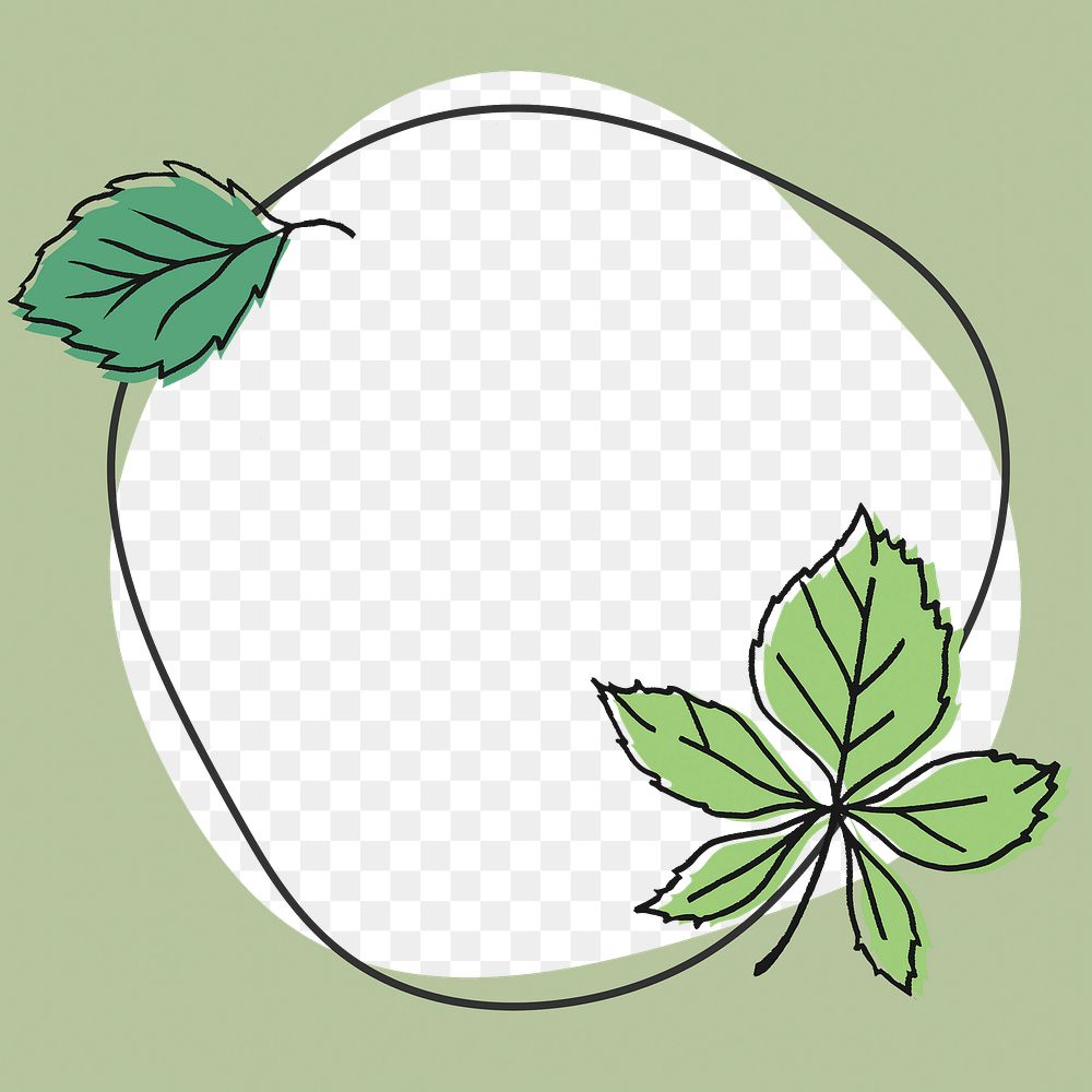 Png chestnut tree leaf frame, line art design on transparent background