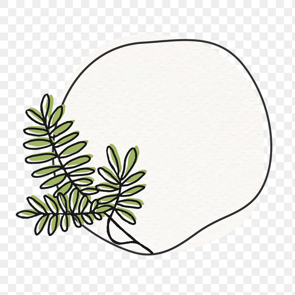 Png acacia tree leaves frame, line art on transparent background