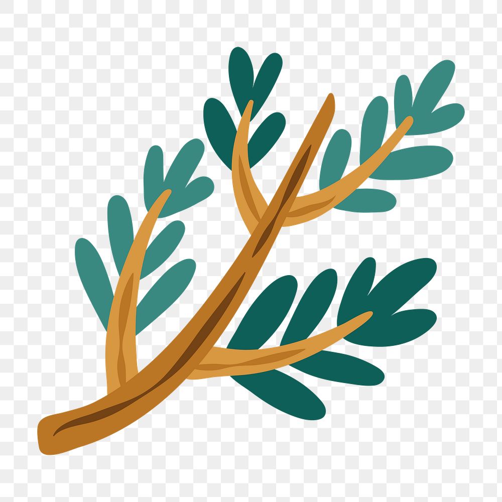 Green leaf png sticker, nature illustration, transparent background
