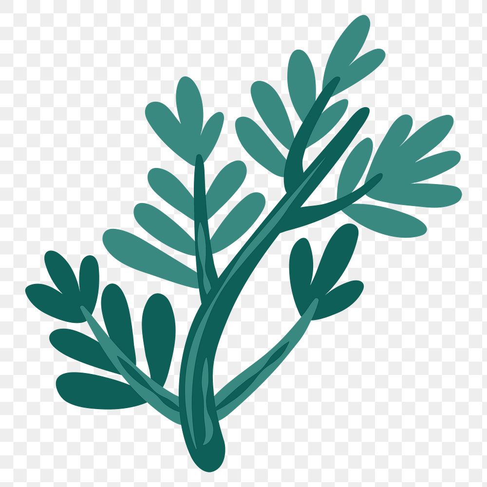 Leaf png sticker, nature illustration, transparent background