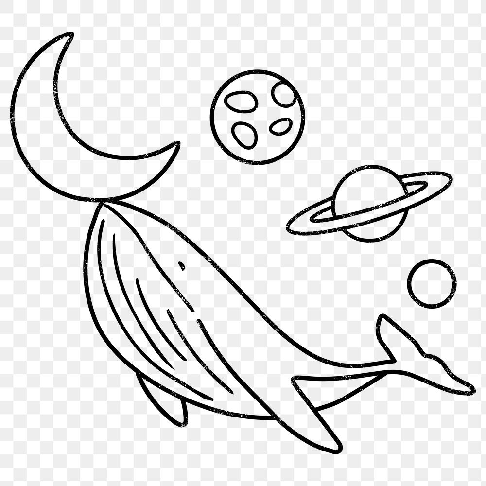Whale doodle png sticker, galaxy, transparent background