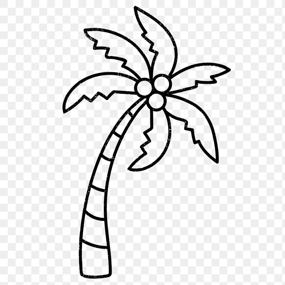 Tropical tree png sticker, summer, transparent background