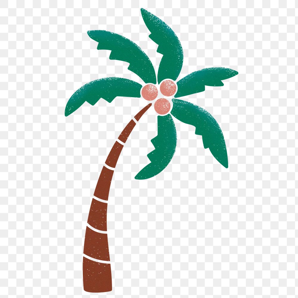 Coconut tree png sticker, botanical, transparent background