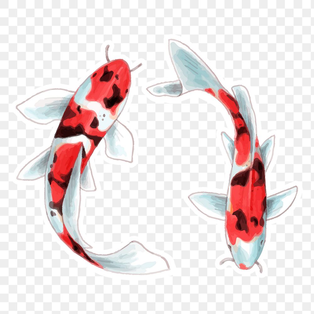 Png japanese koi fish cartoon sticker illustration