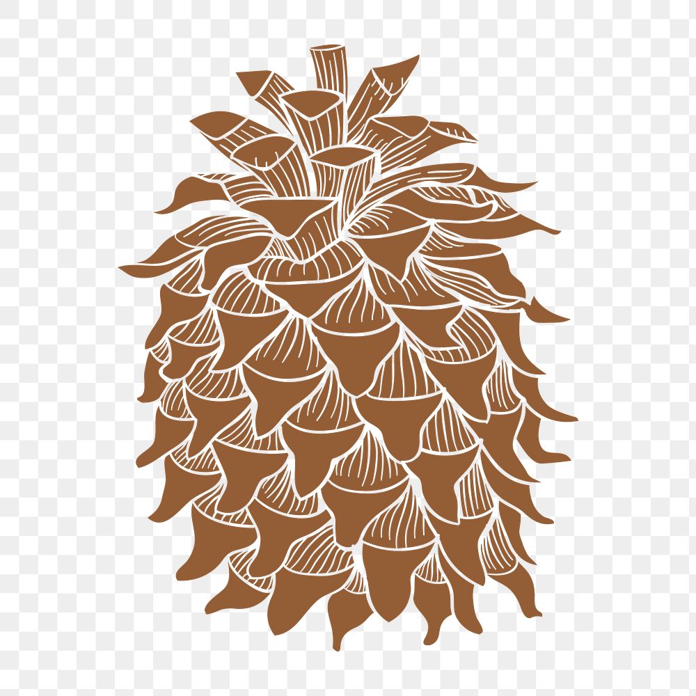 Coulter pine cone sticker design element