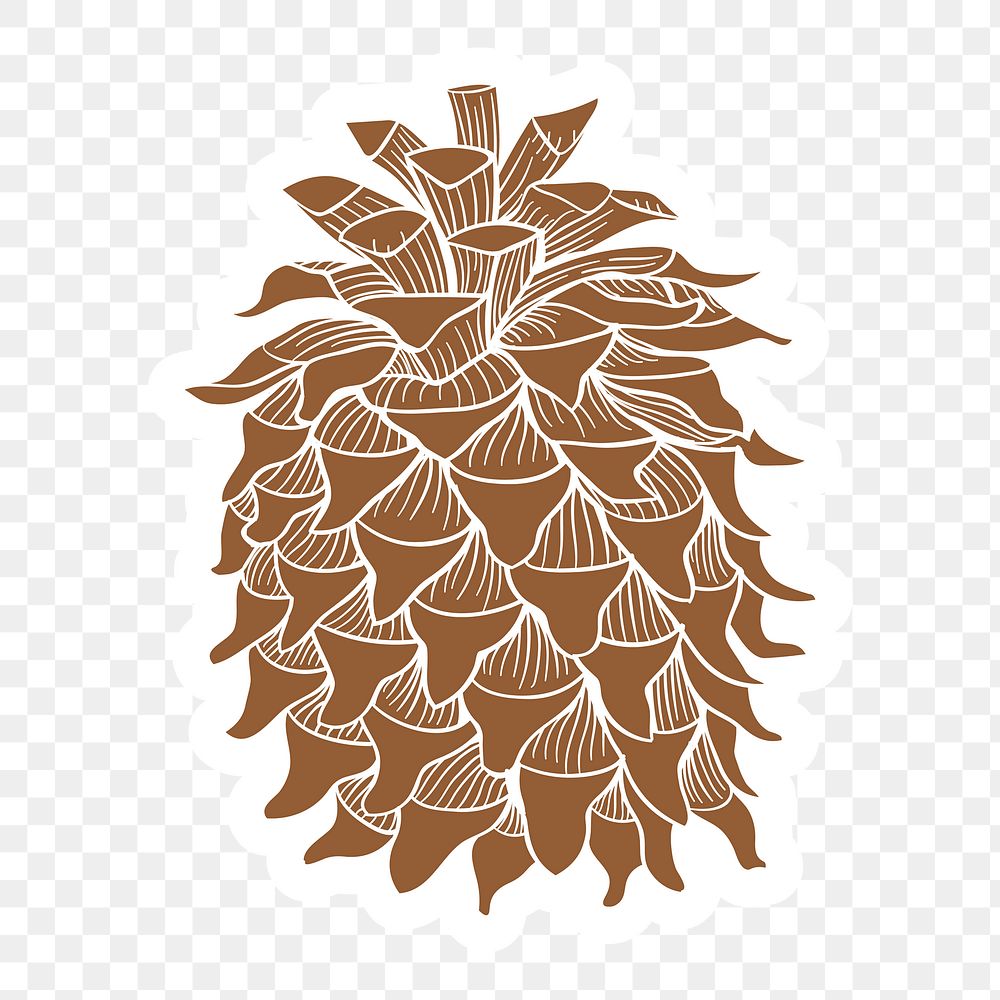 Coulter pine cone sticker with a white border design element
