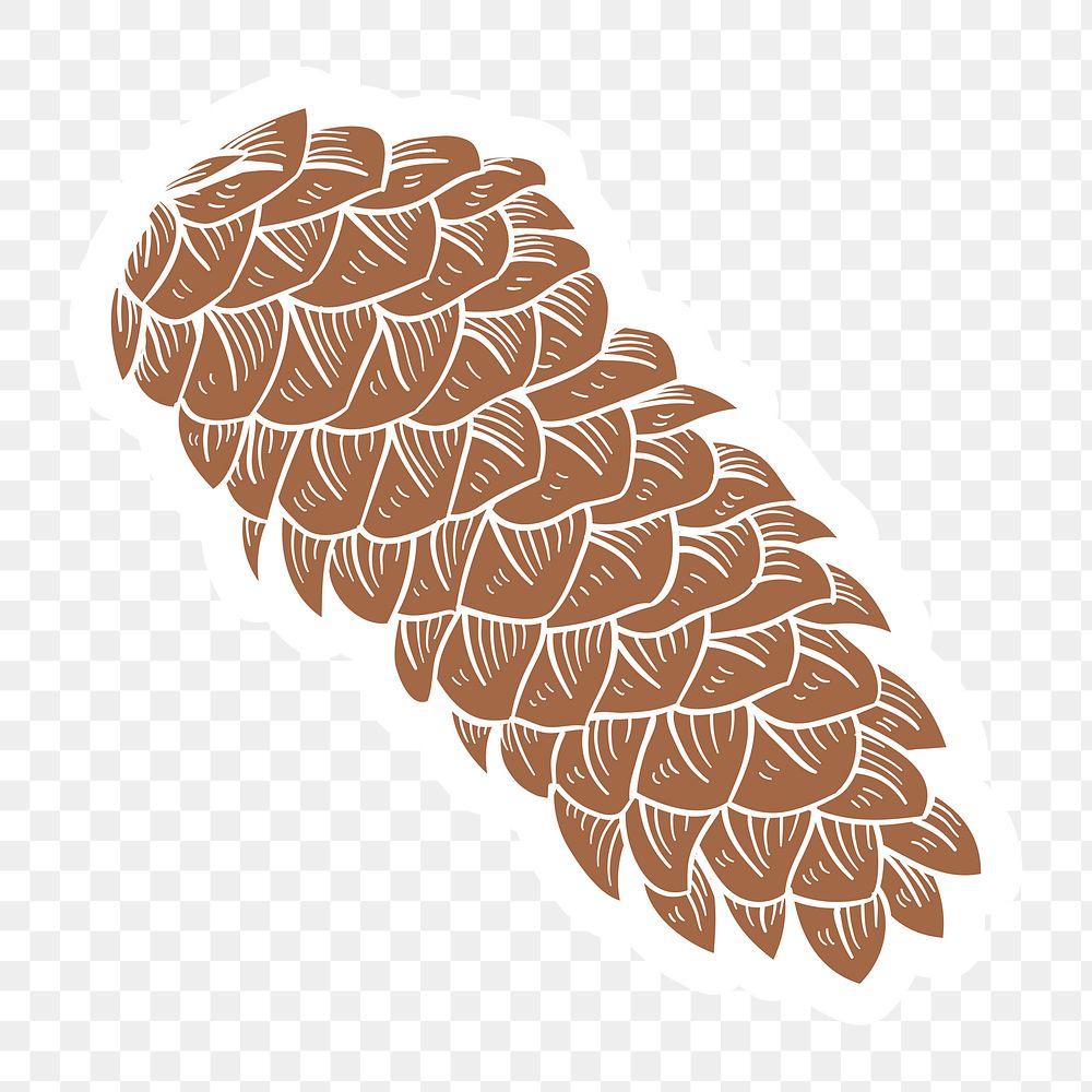 Sugar pine cone sticker with a white border design element