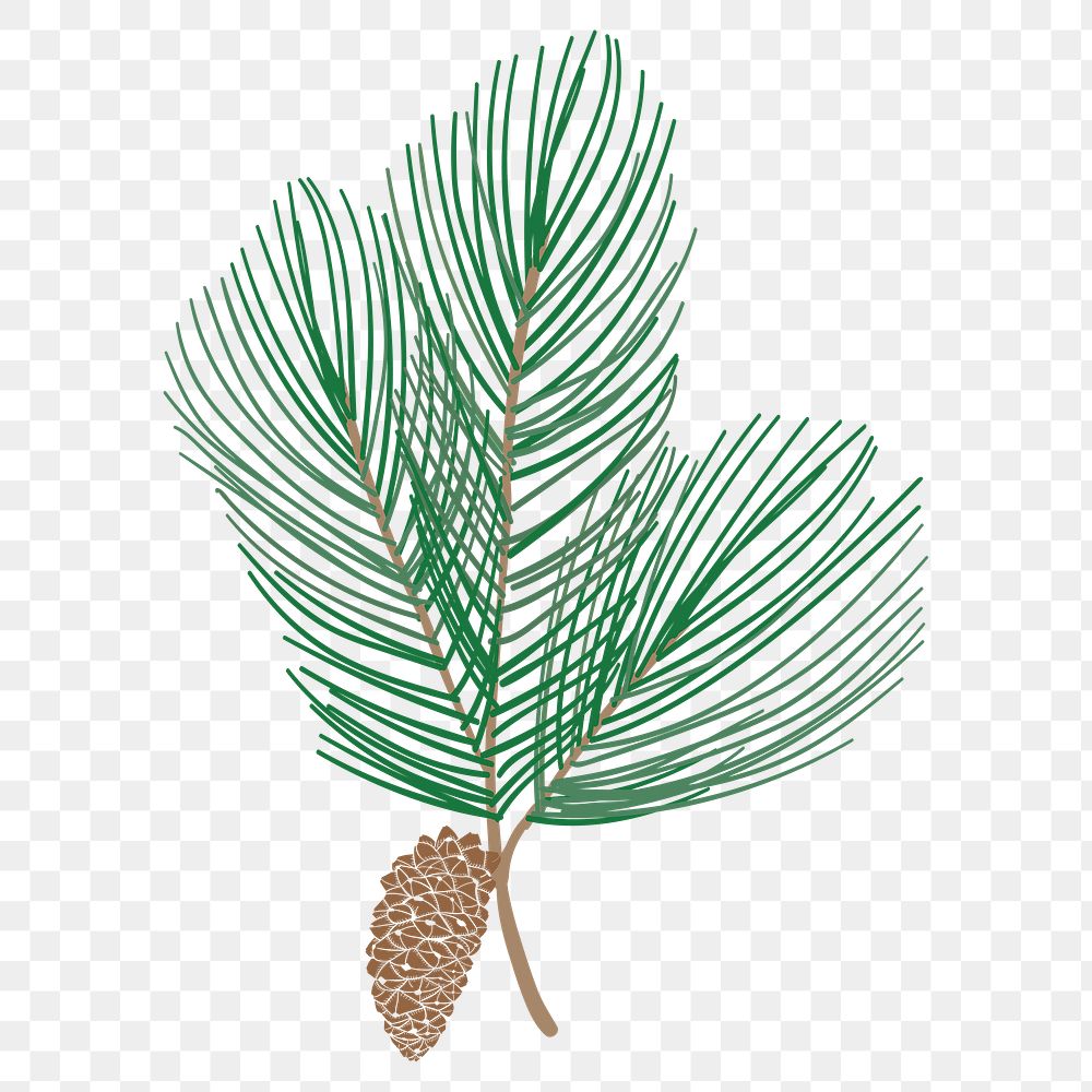 Cute pine tree branch sticker design element