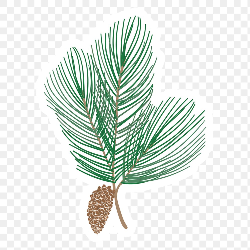 Cute pine tree branch sticker with a white border design element