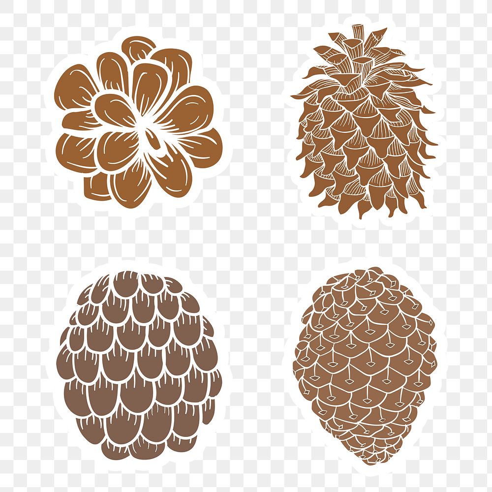 Conifer cone sticker with a white border design element set