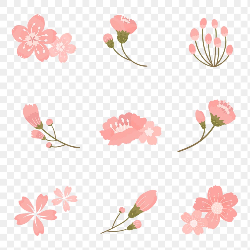 Png cherry blossom sticker flower element set