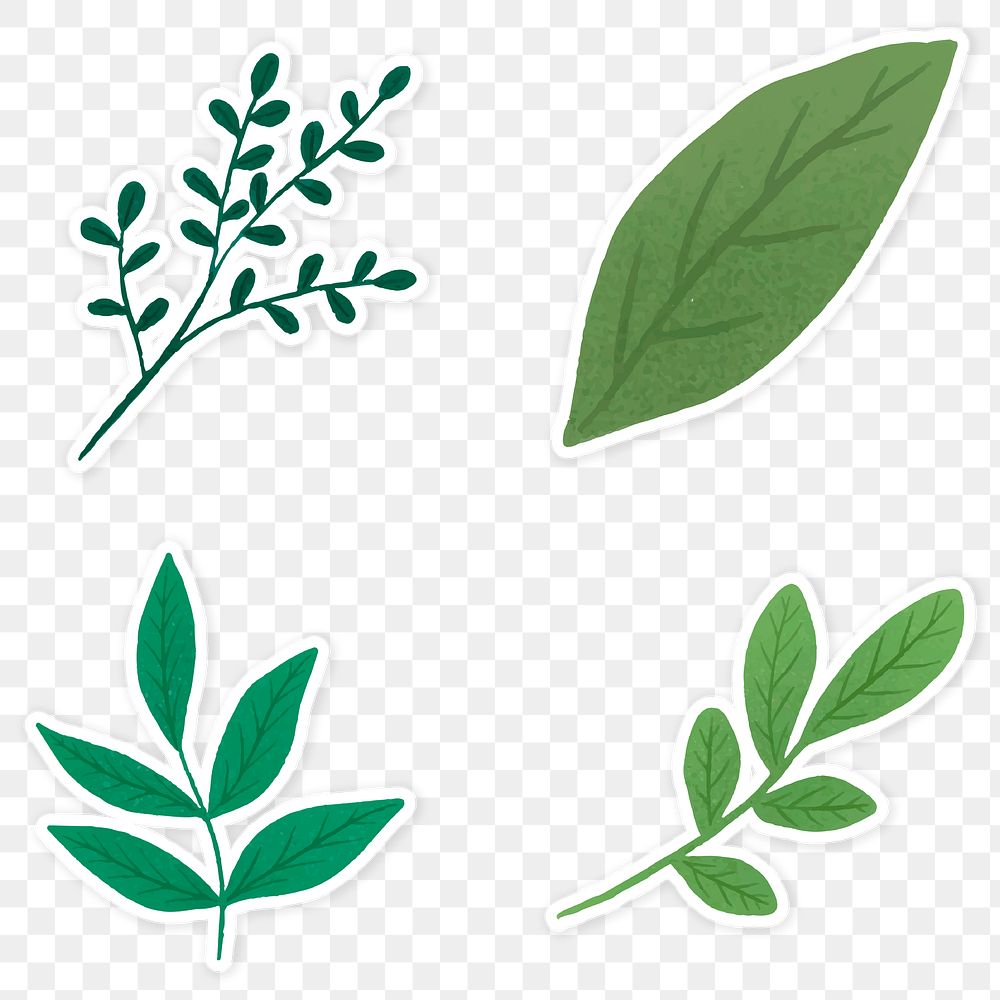 Green leaves sticker collection transparent png
