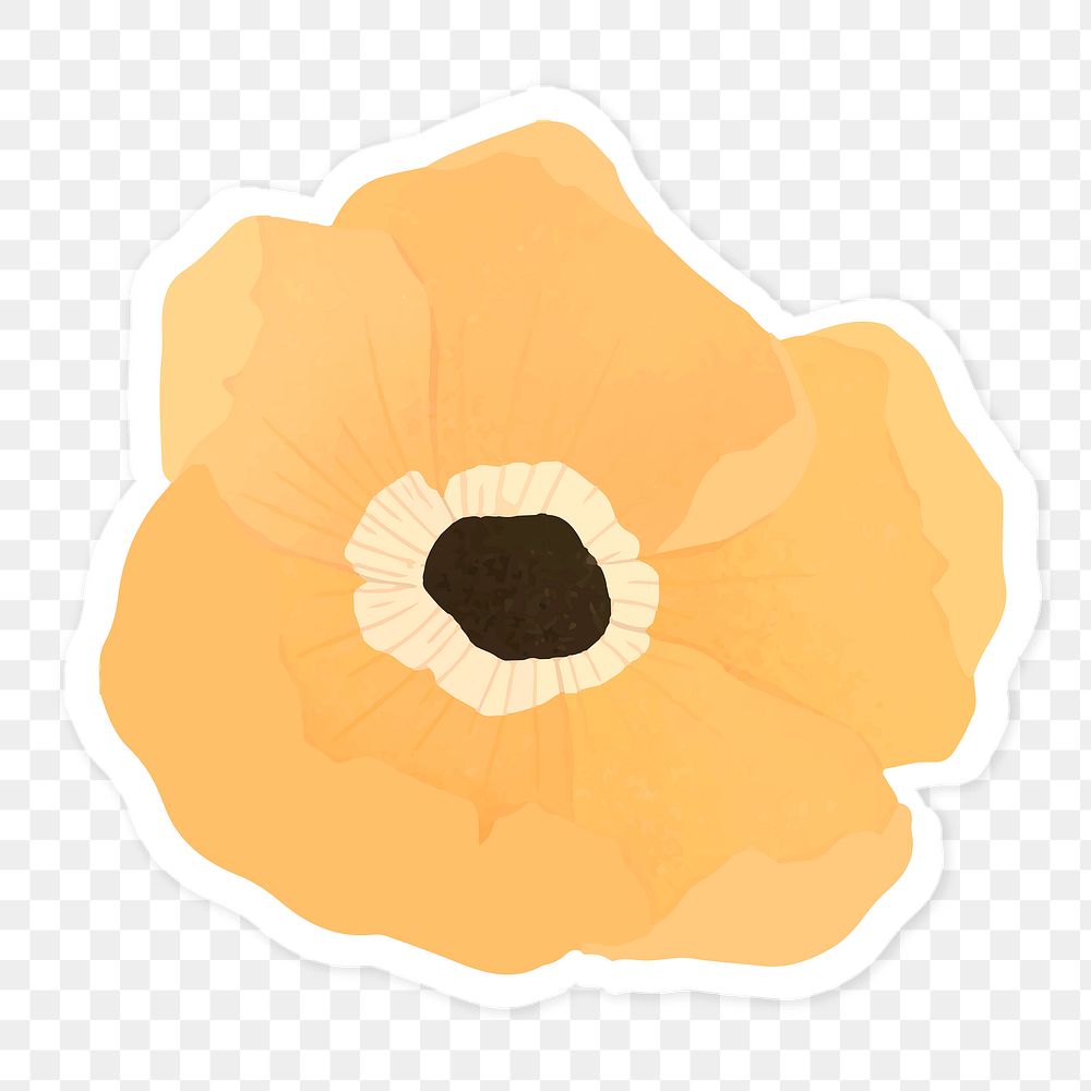 Orange poppy flower sticker transparent png