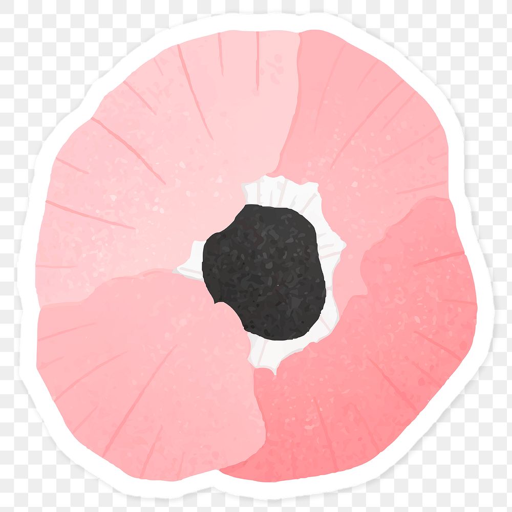 Pink poppy flower sticker transparent png