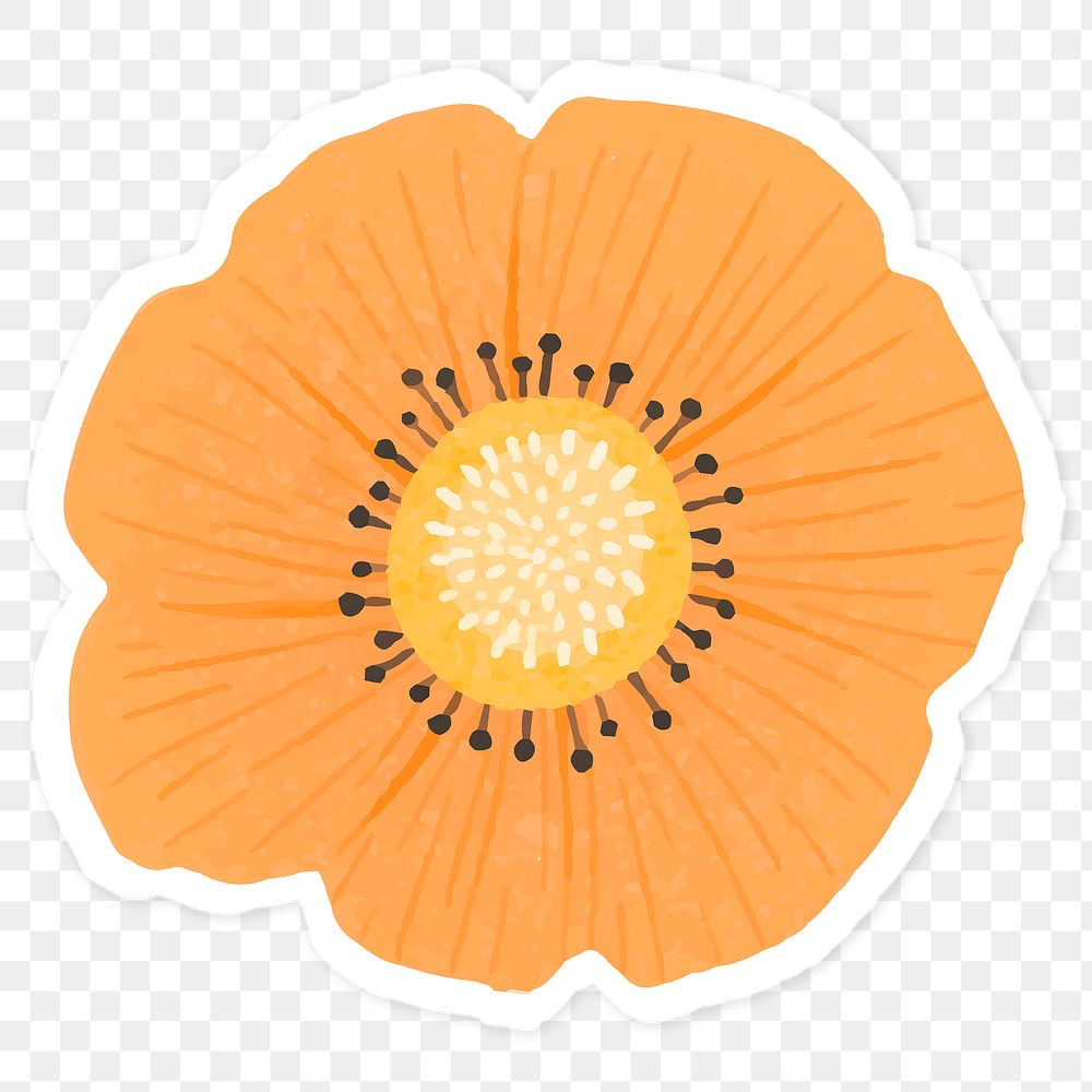 Orange flower sticker transparent png
