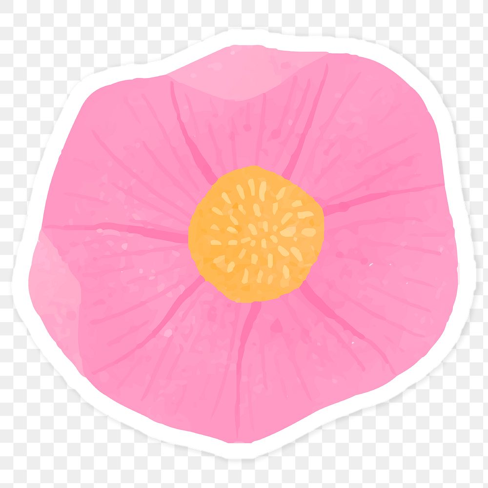 Pink flower sticker transparent png