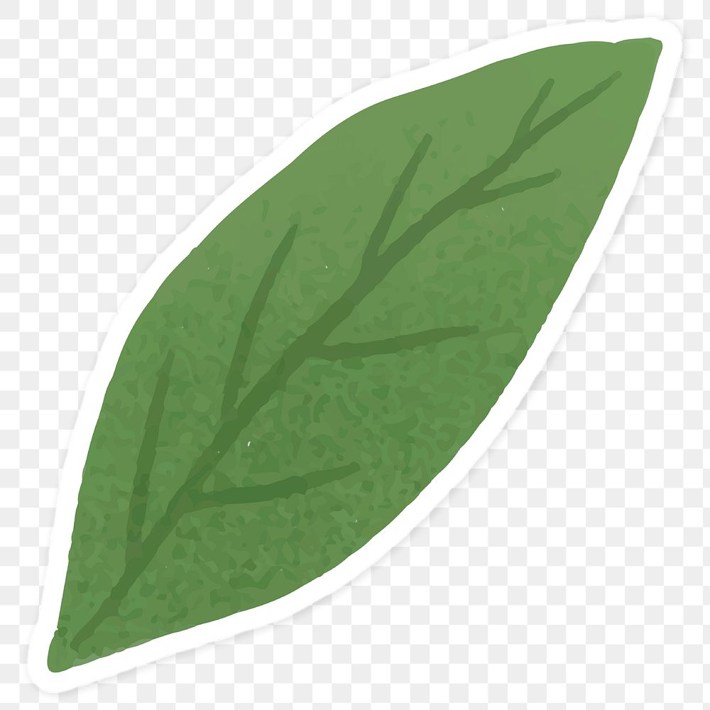 Green leaf sticker transparent png